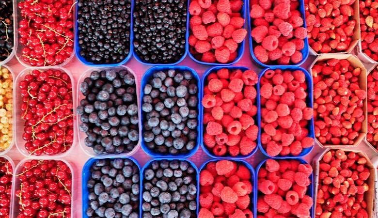 Benefícios do consumo de cranberry, blueberry e gojiberry